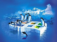 Cool - 3D Effects Wallpapers - 3.0 Wallpaper 800x600